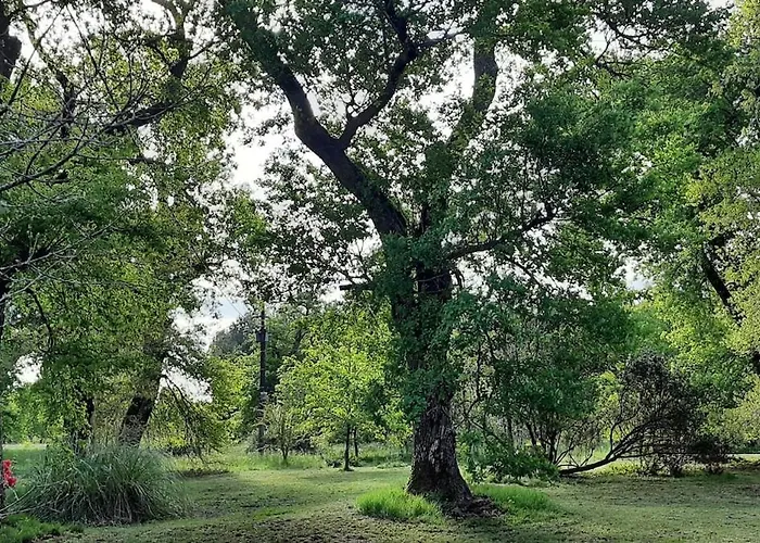 Authentique Maison Landaise * Sore