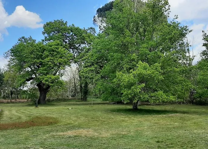 Authentique Maison Landaise Ferienhaus Sore